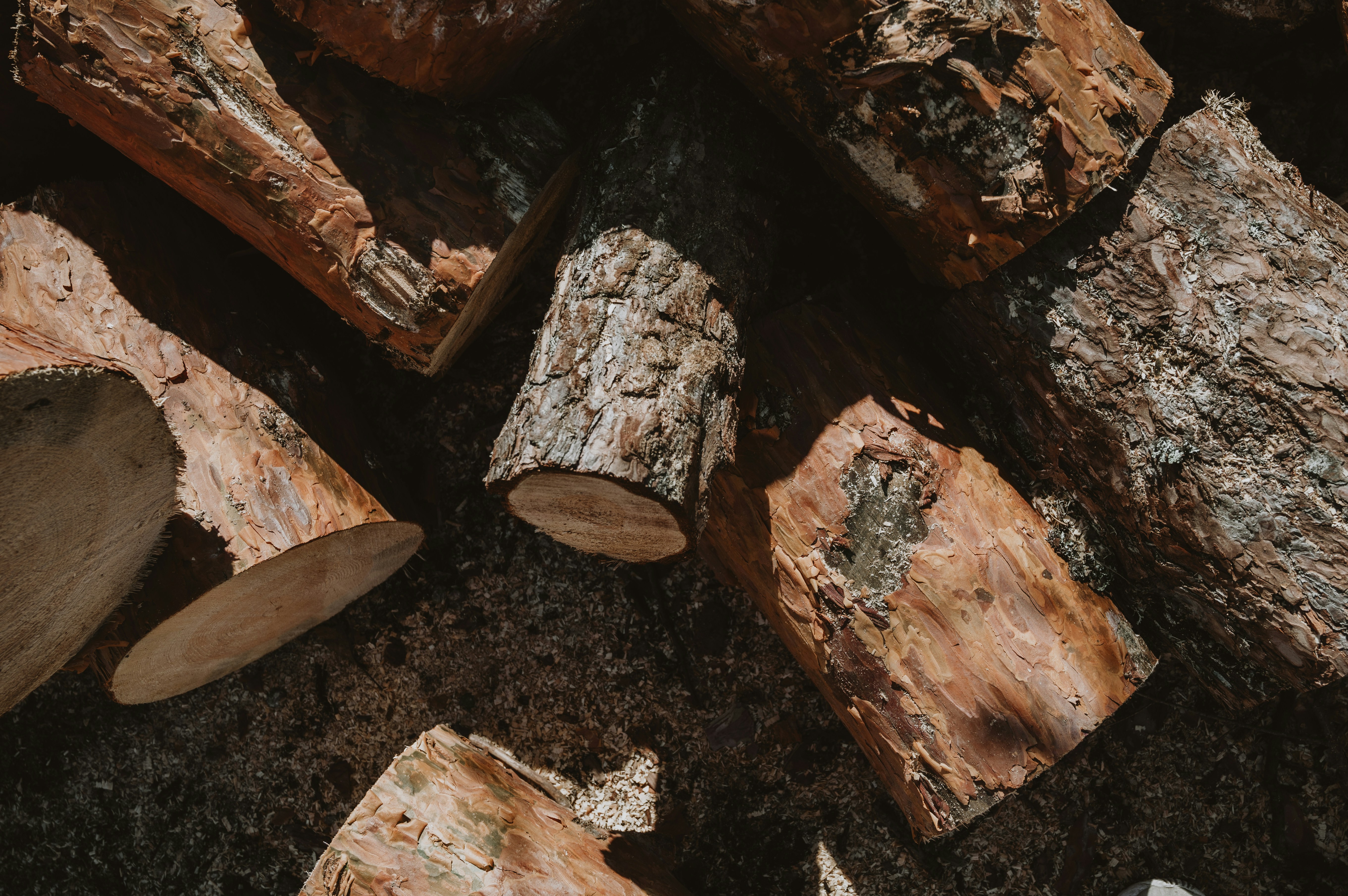 Photo by virginiaphotostories