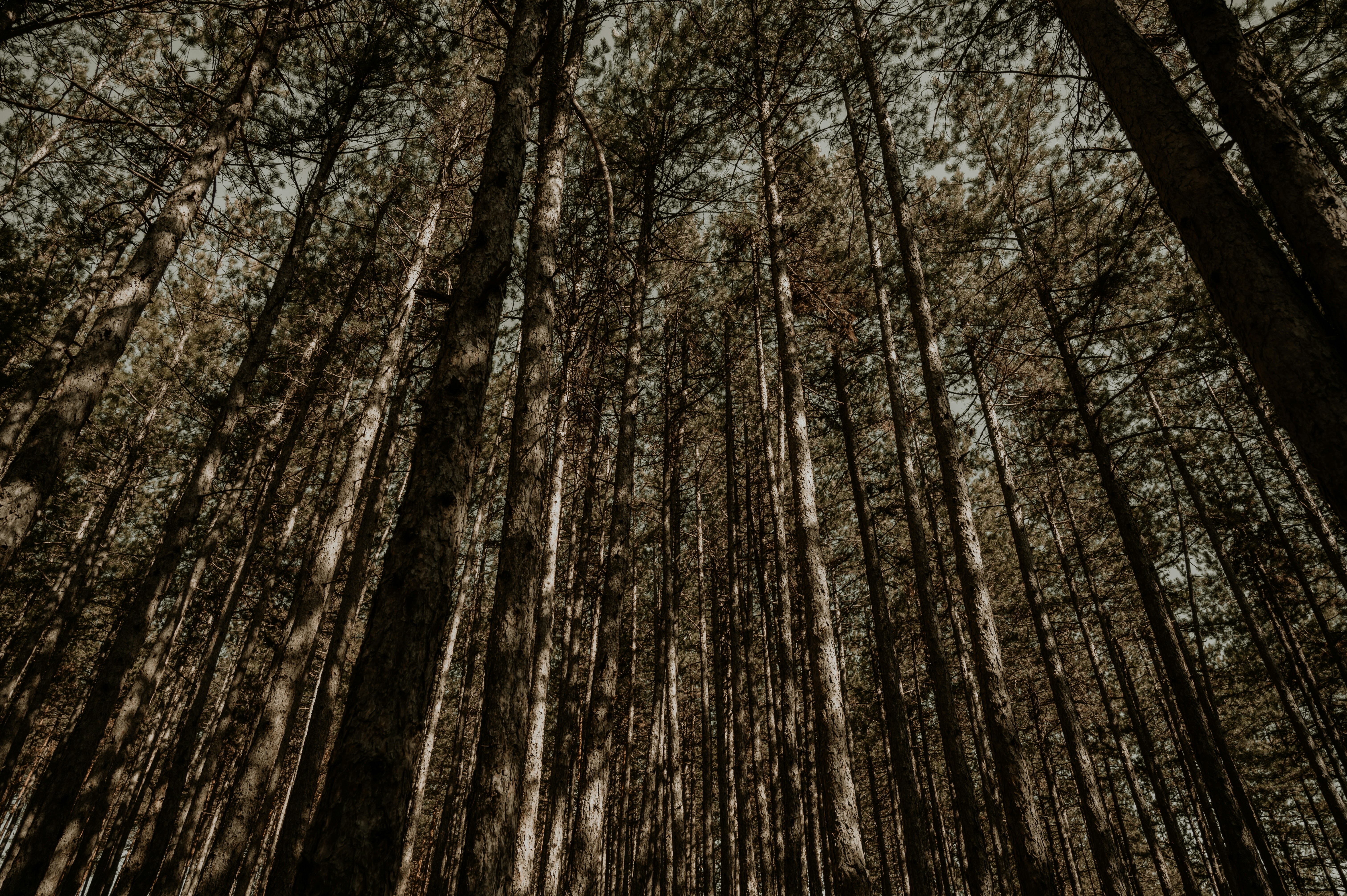 Photo by virginiaphotostories