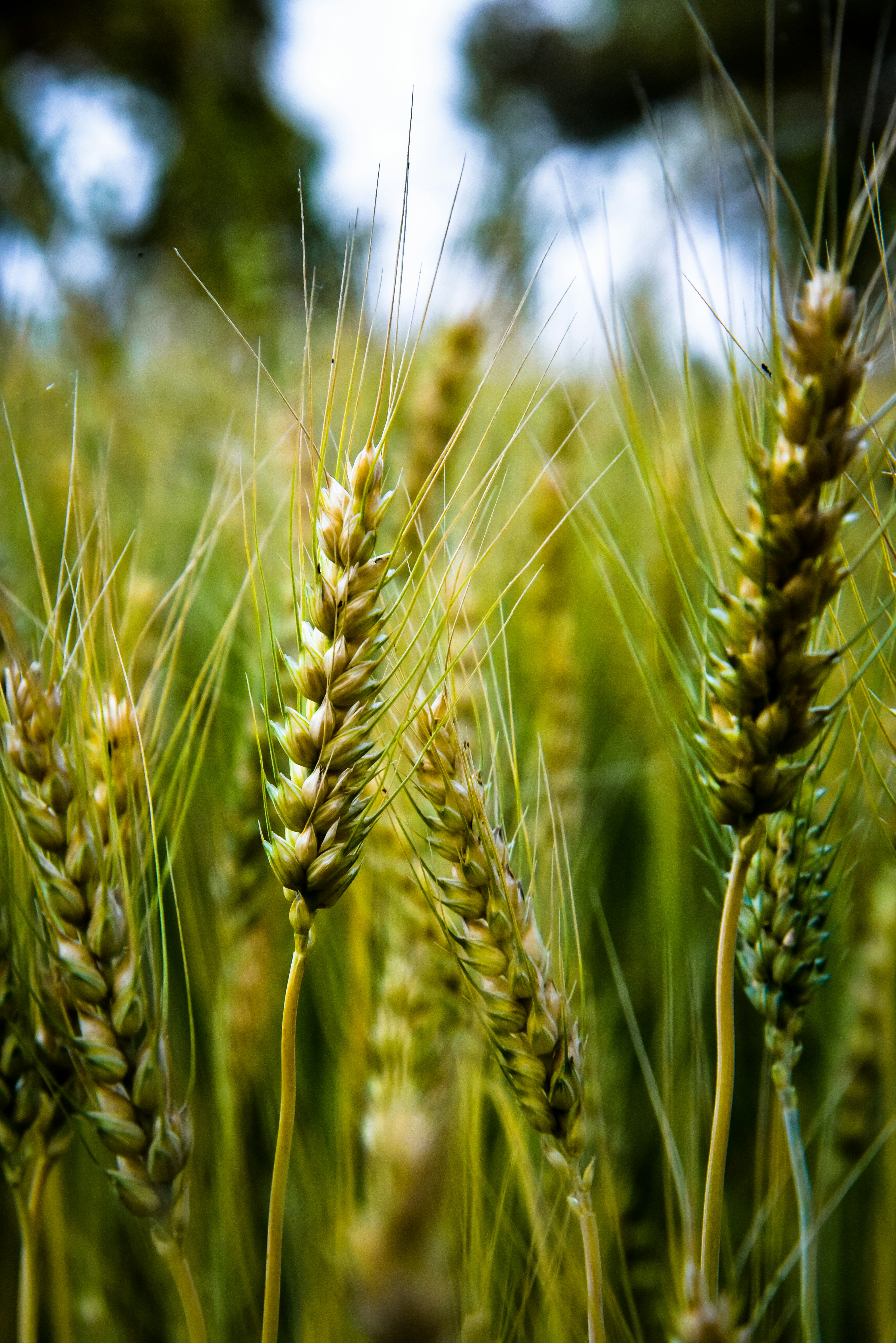 Photo by jatin_punia