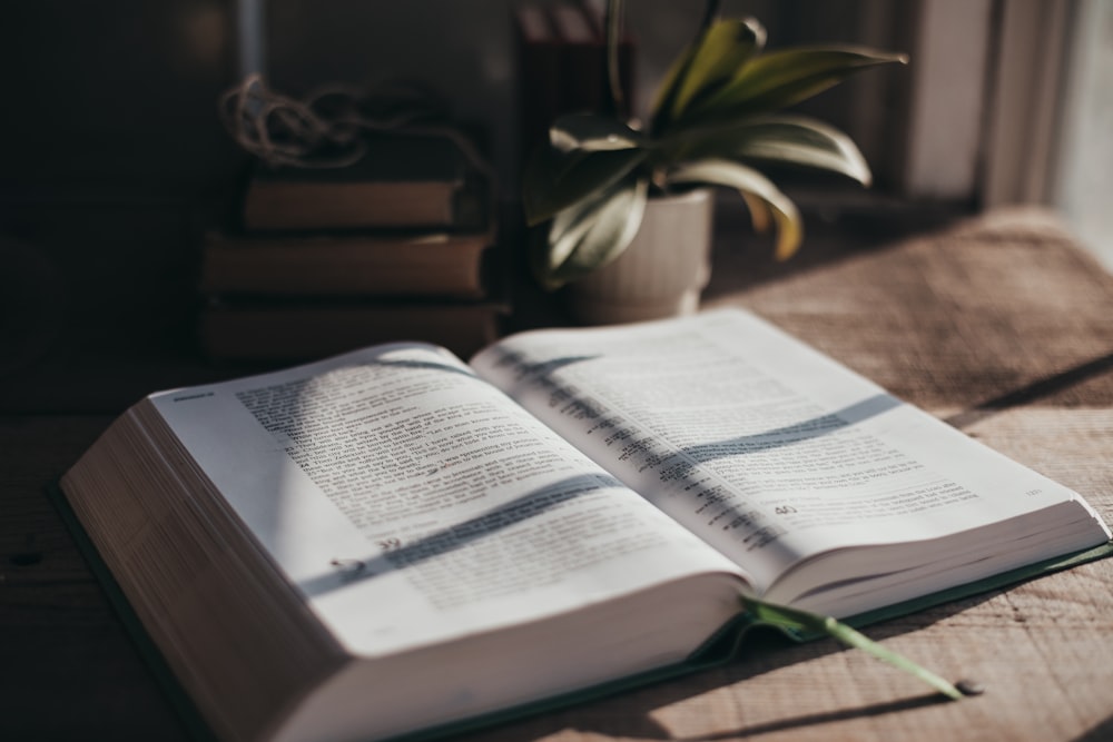 an open book sitting on top of a bed next to a potted plant