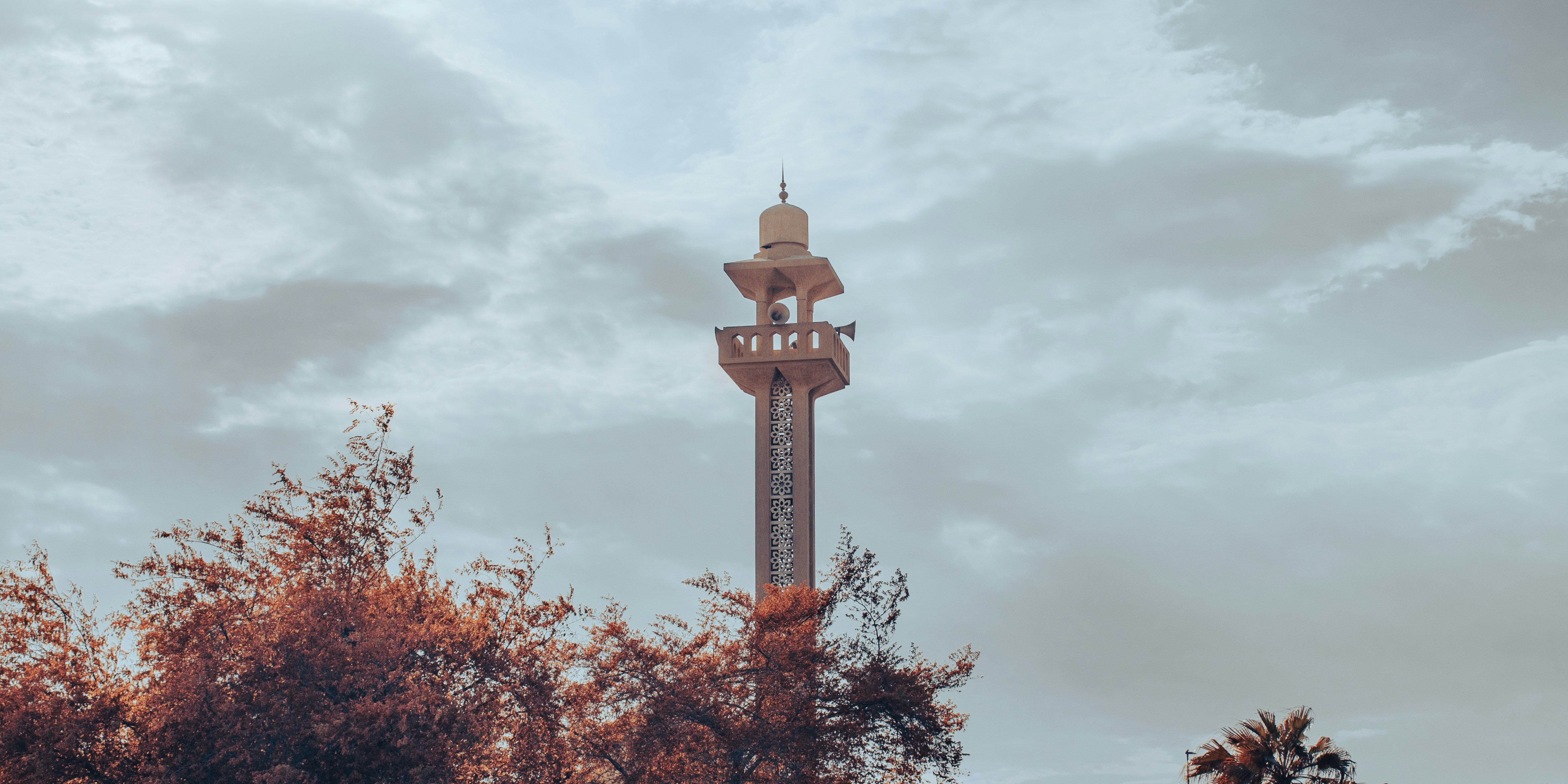 Photo by malikshibly