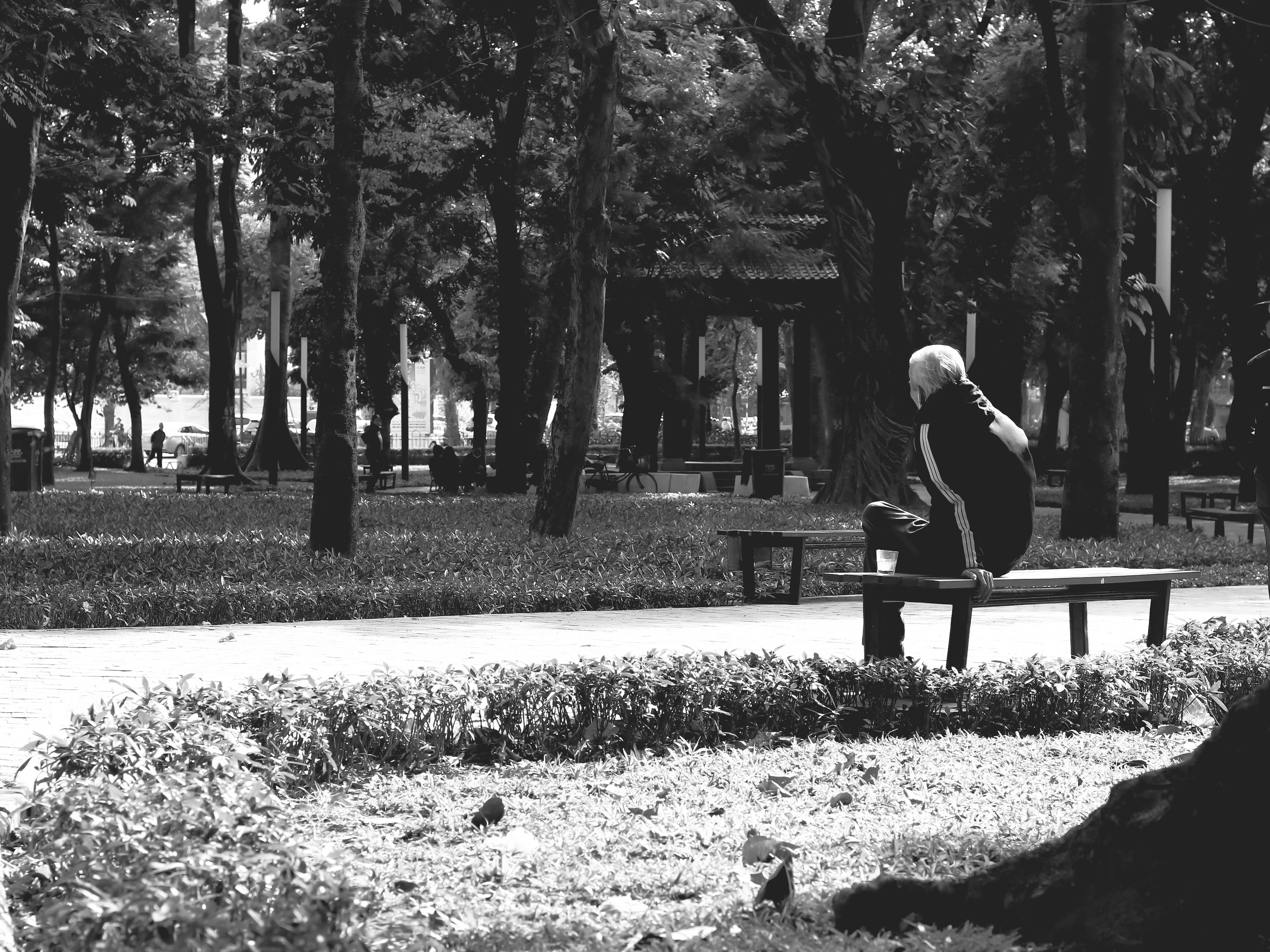 Engin bir manzara karşısında tek başına oturup ufku seyreden bir kişinin silueti; yalnızlığın getirdiği derin düşünceyi ve sarsıcı içsel bilgeliği simgeleyen huzurlu bir atmosfer.