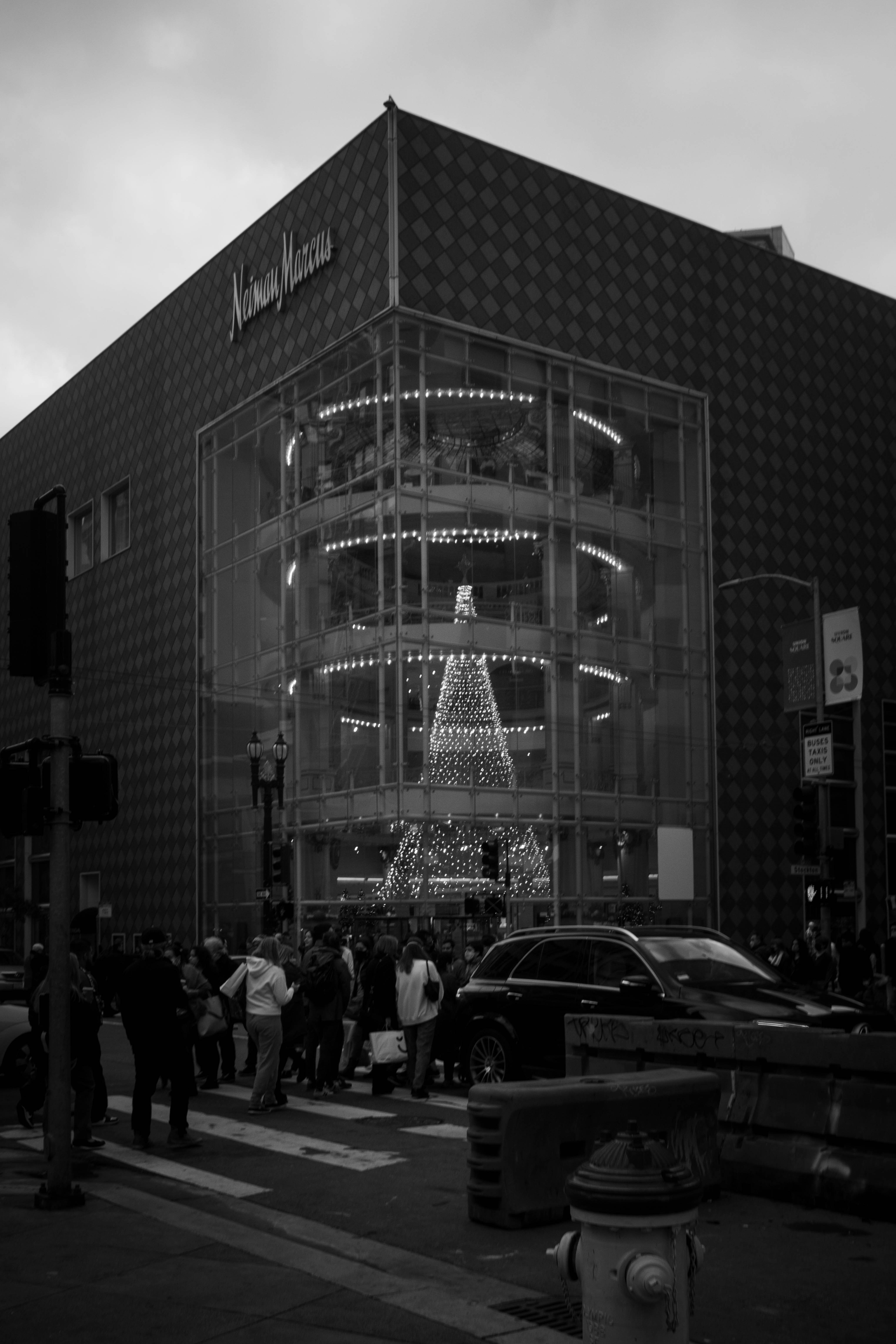 A black and white photo of a christmas tree in front of a building photo Free Pedestrian Image