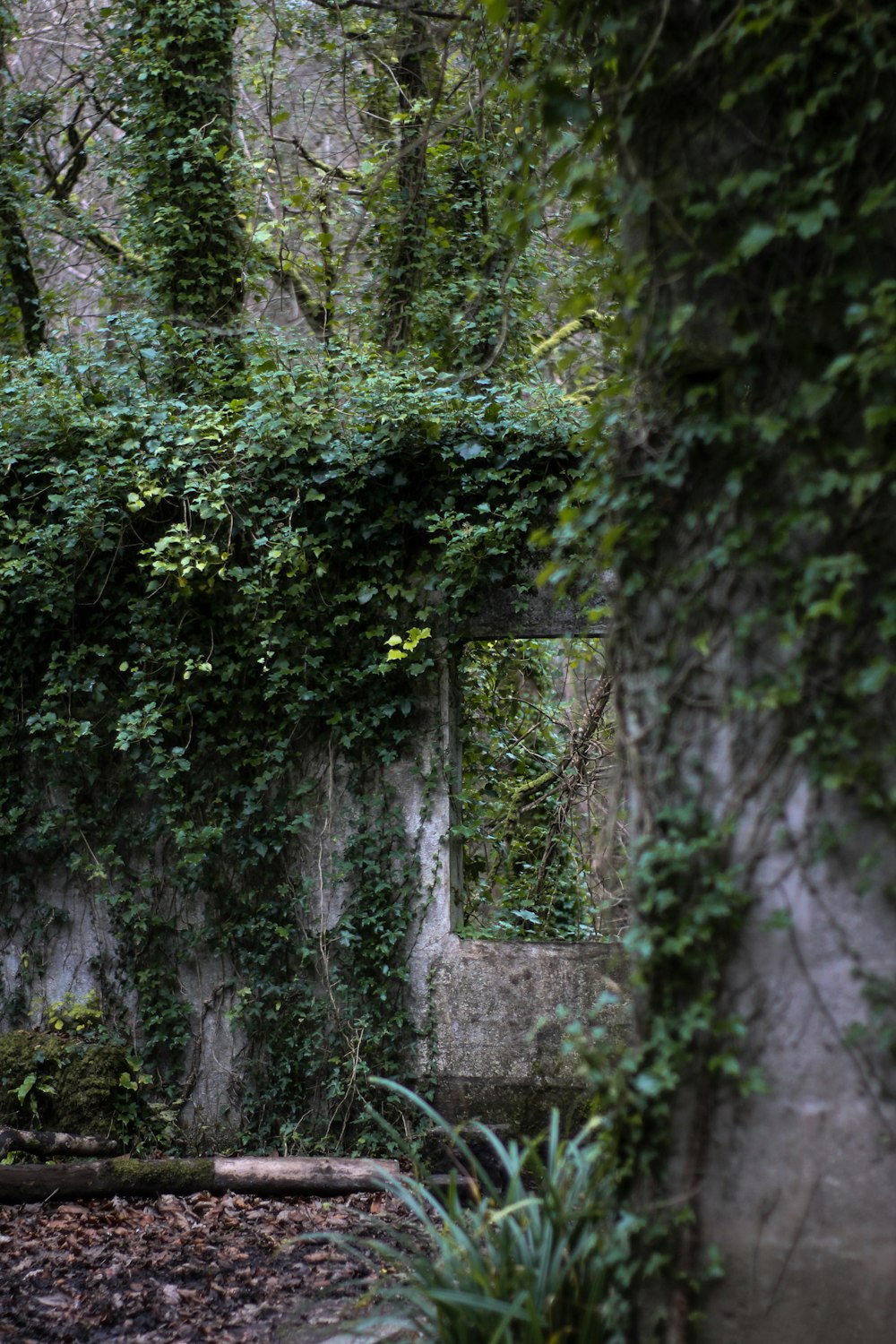 a waterfall in a forest