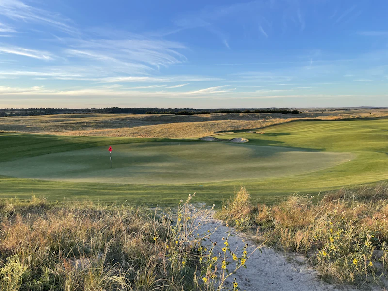 Mammoth Dunes