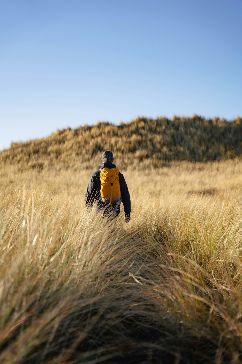 a man walking through tall grass on a sunny day