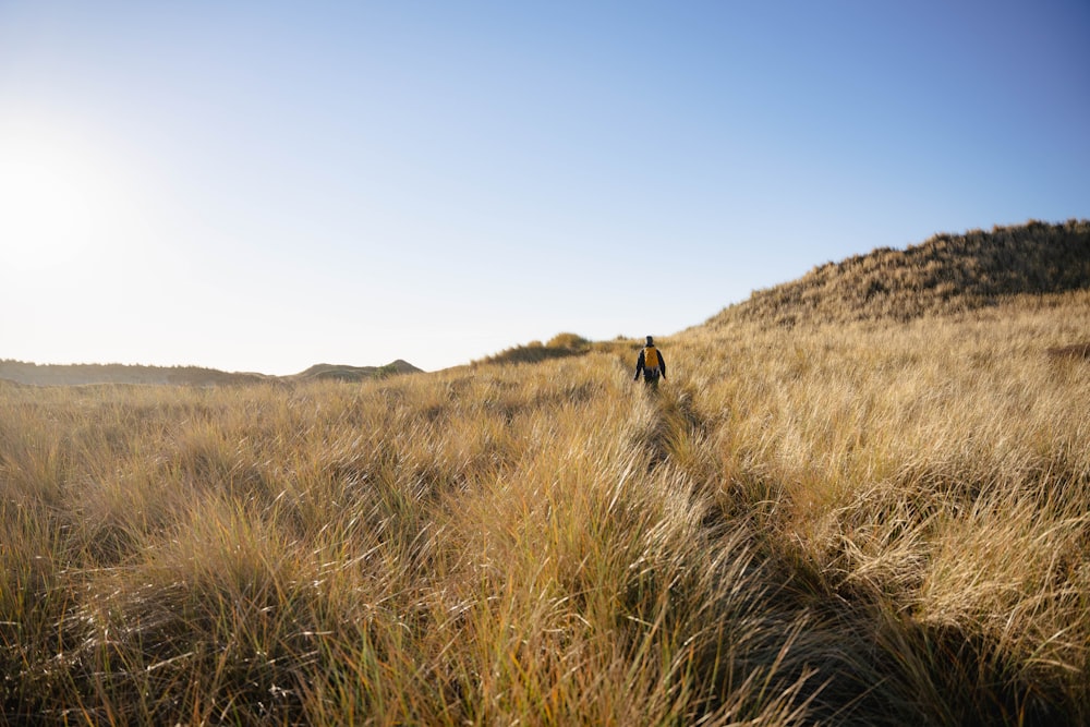 a person walking through a field of tall grass