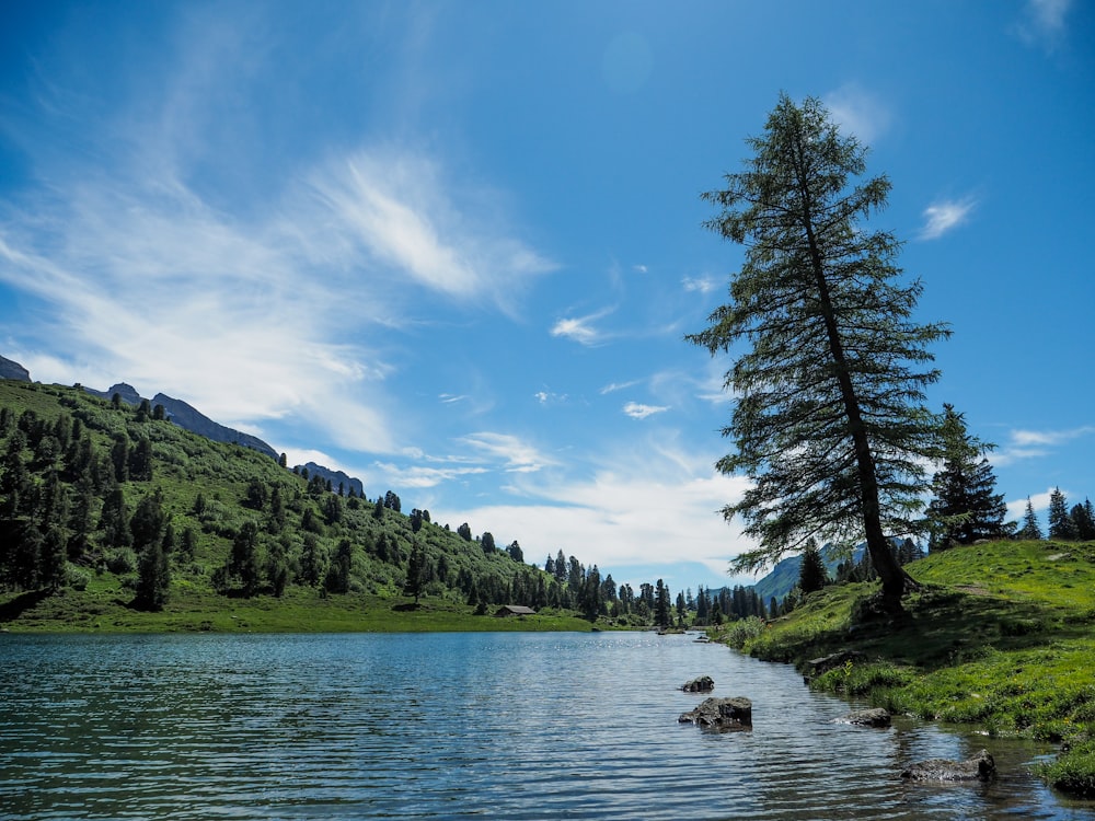 a body of water surrounded by a lush green hillside