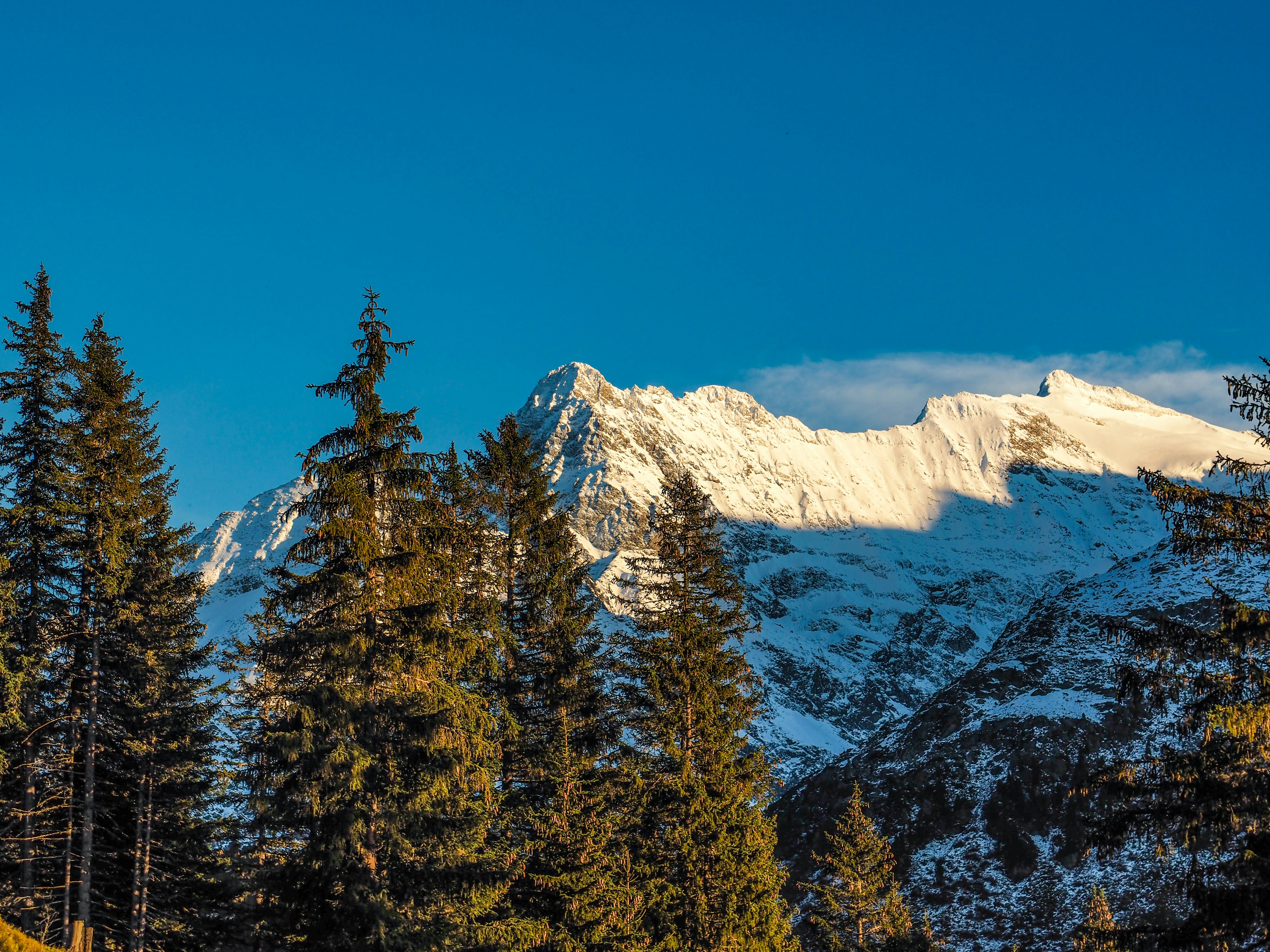 Photo by noah_dustin