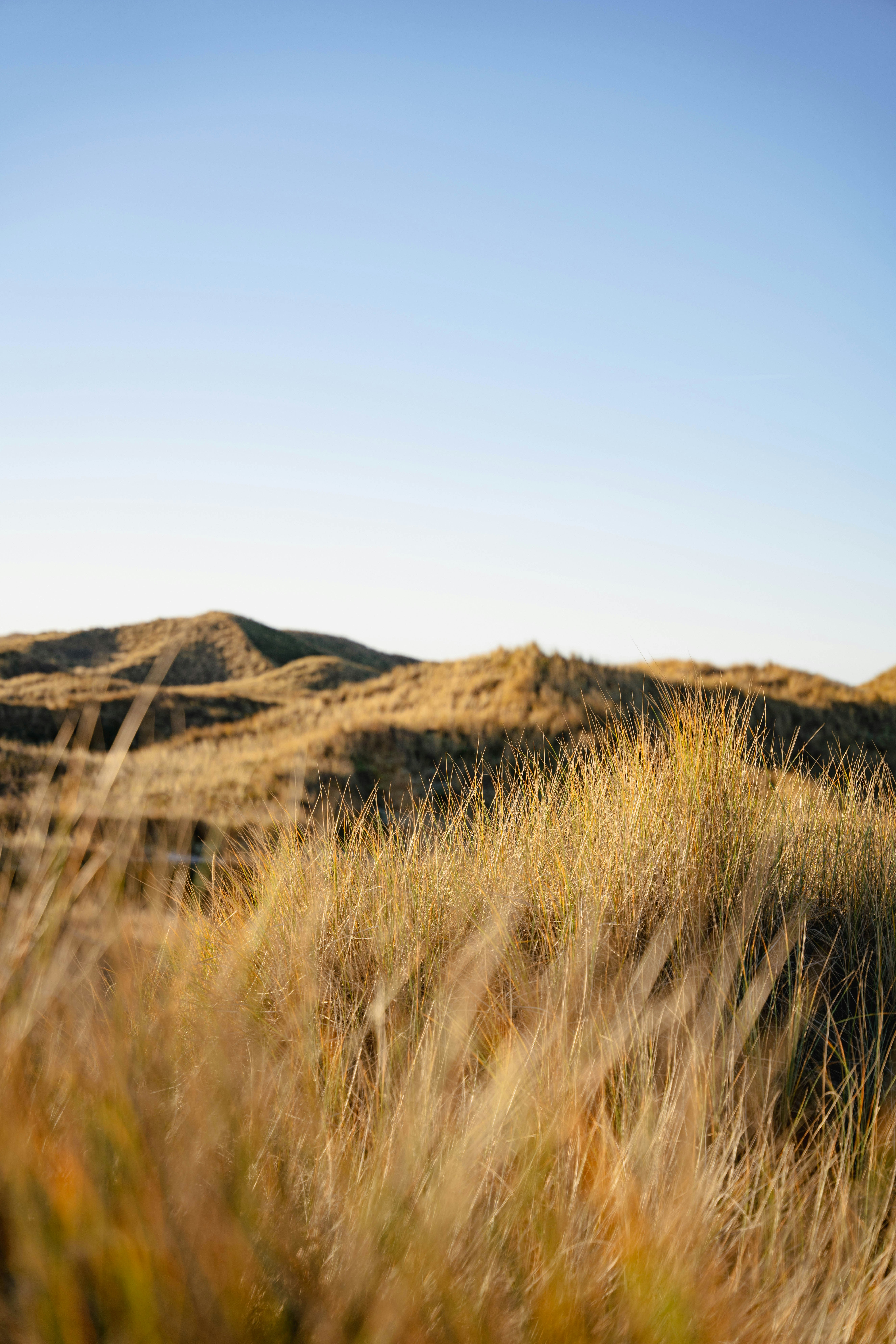 Photo by davidemrich