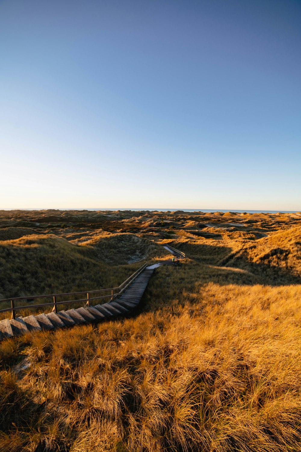 a grassy field with a wooden walkway in the middle of it