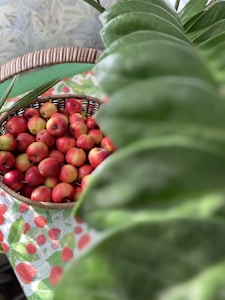 Fresh Fruits