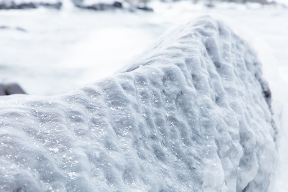 una panchina coperta di neve accanto a uno specchio d'acqua