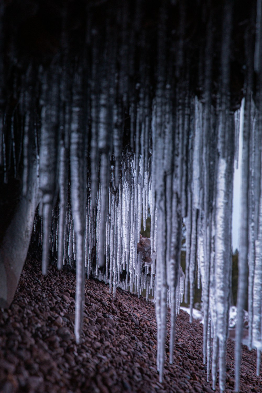 a group of icicles hanging from the ceiling of a cave