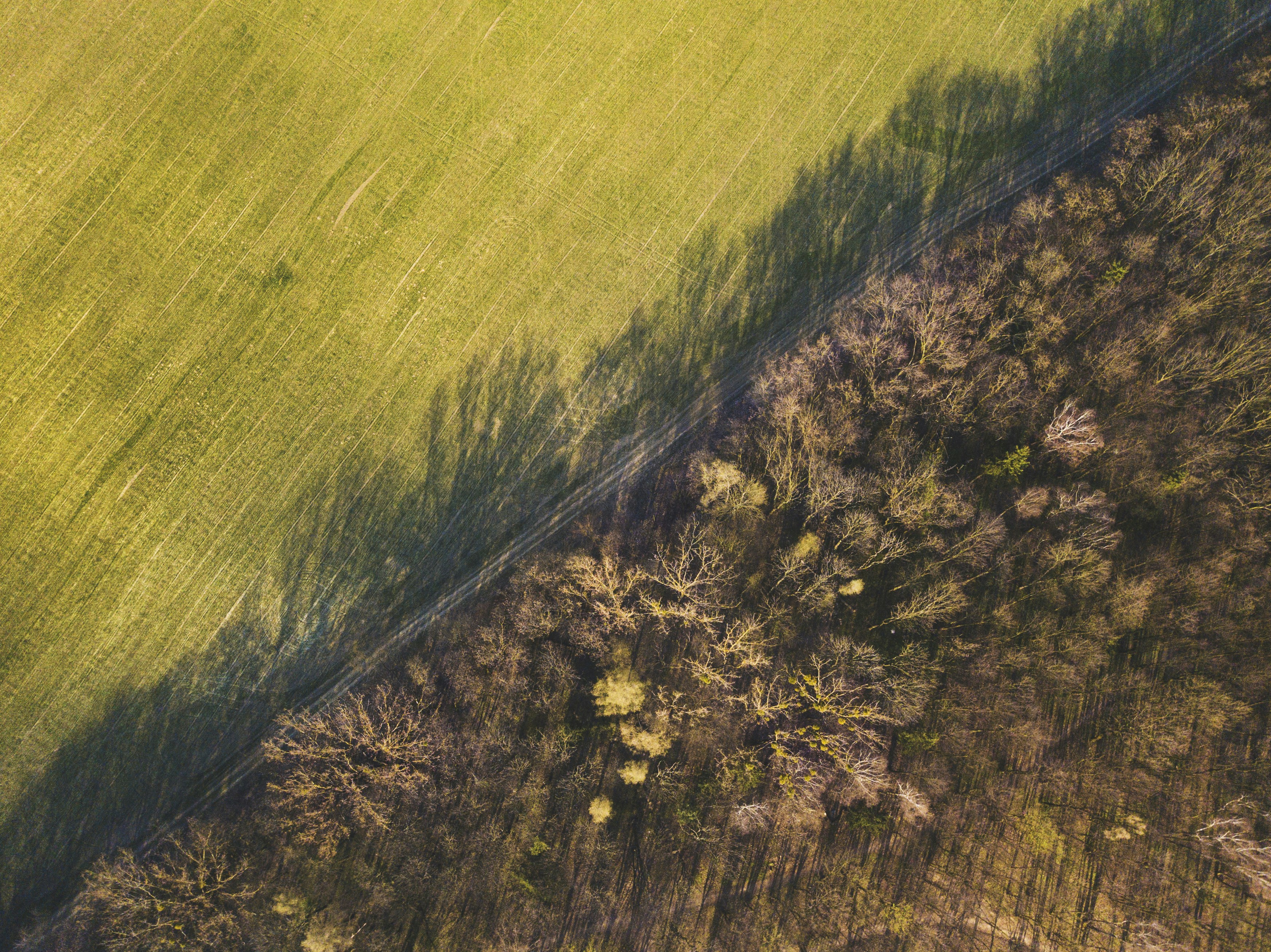 Photo by voznenko_artur