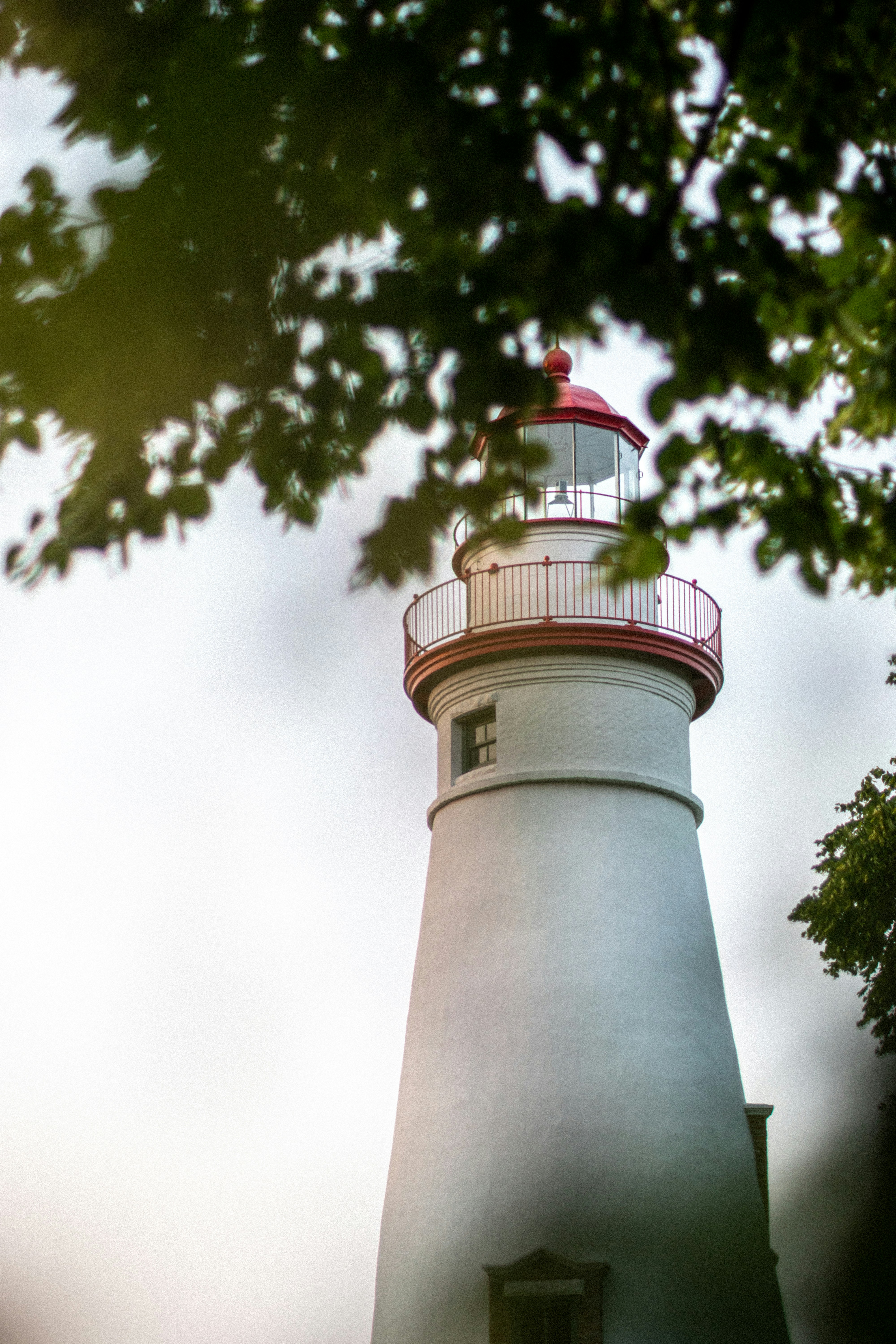 Photo by rorylindholm