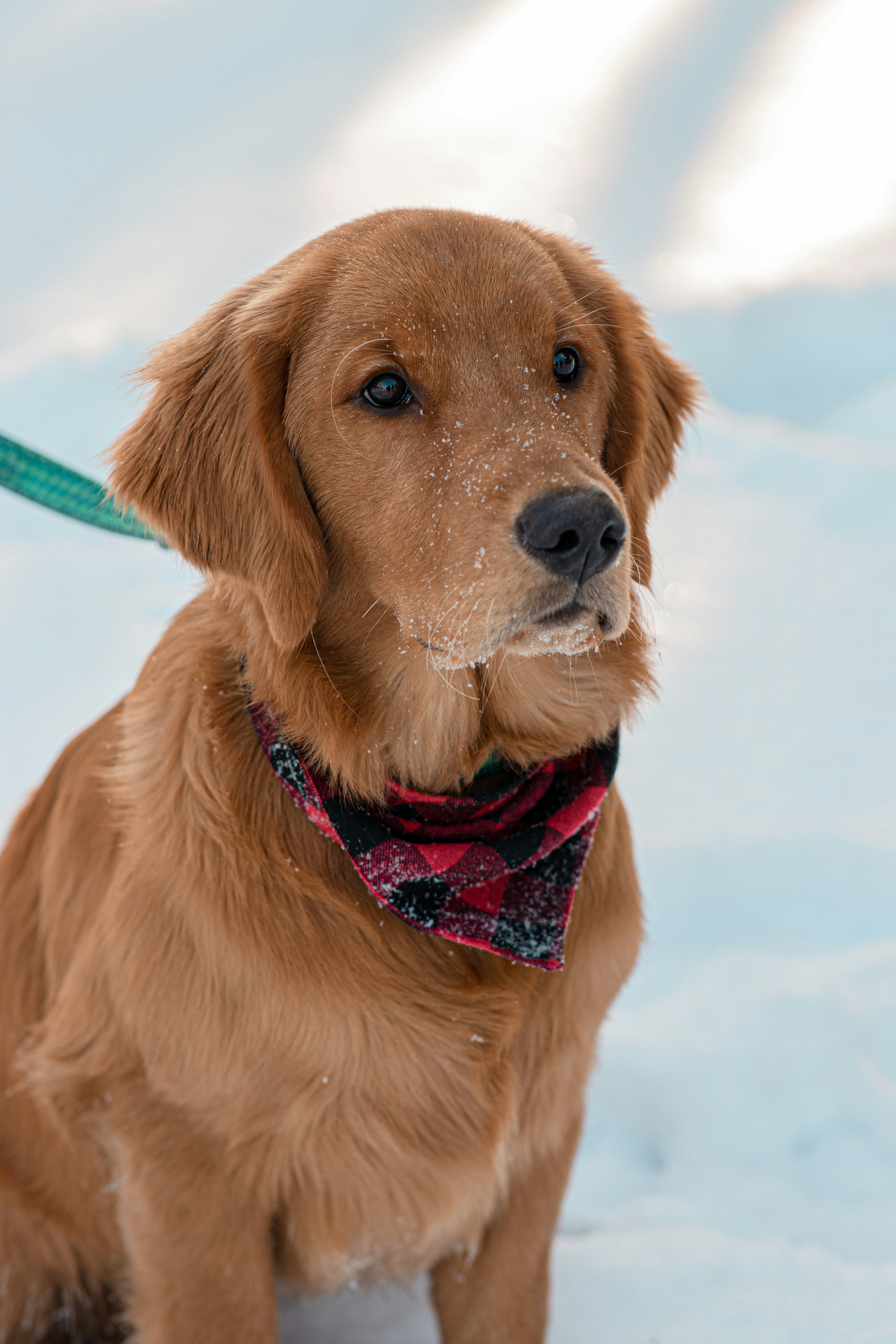 Photo by itsmaemedia