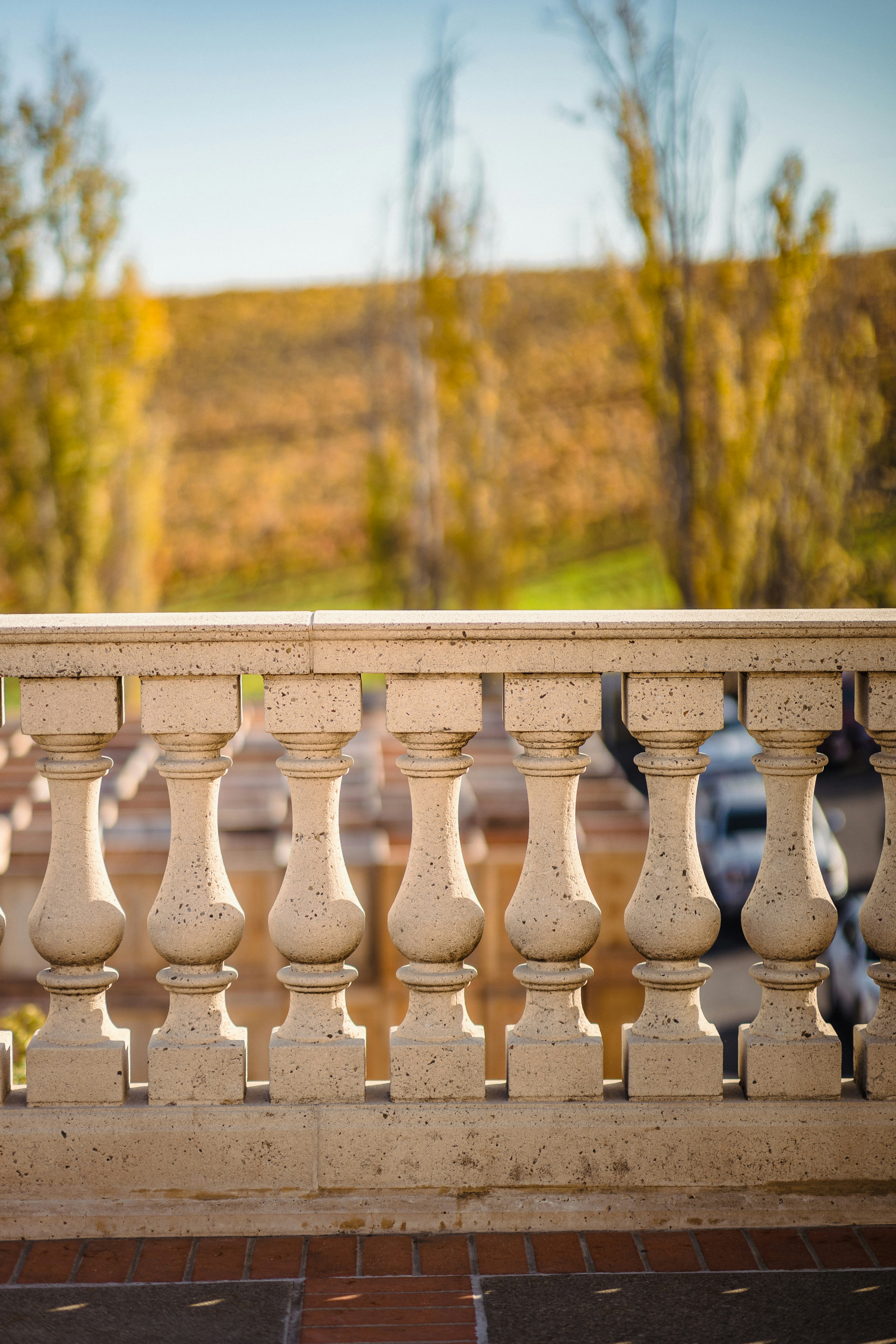 A close up of a white railing with trees in the background photo – Free ...