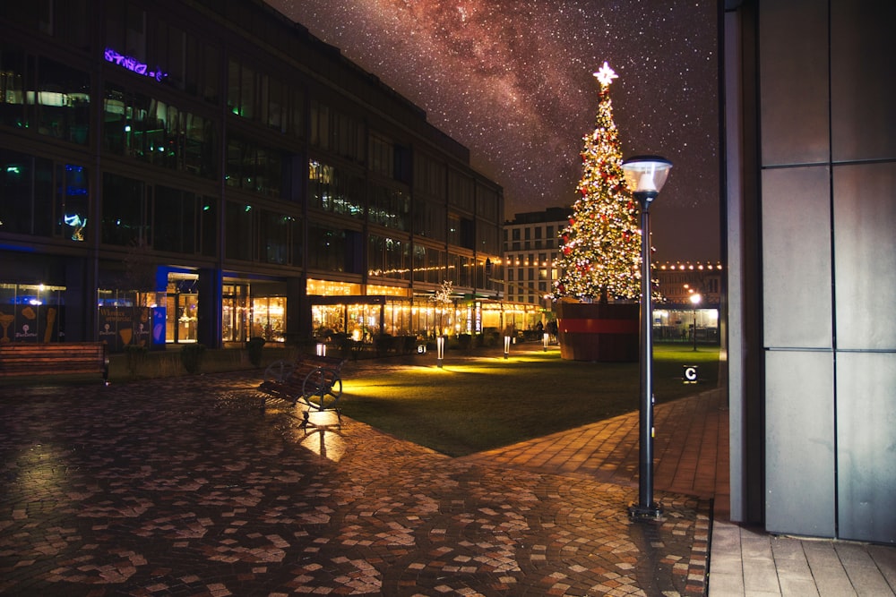 Ein Weihnachtsbaum leuchtet vor einem Gebäude