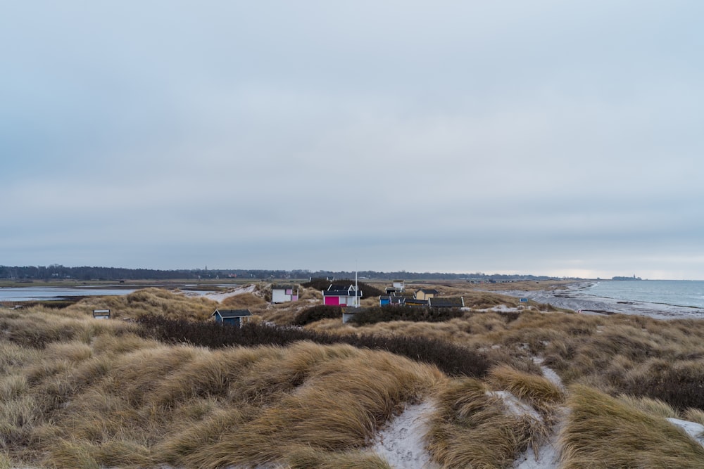 a sandy beach covered in brown grass next to a body of water