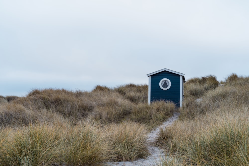 a blue outhouse in the middle of a grassy field