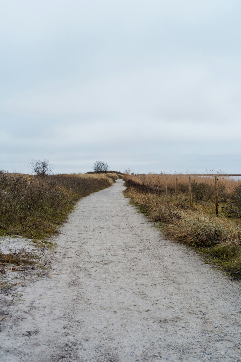 a dirt road in the middle of a field