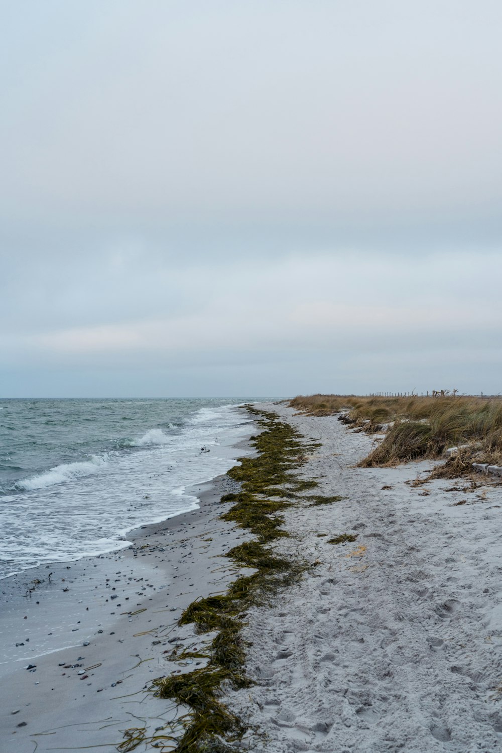 a path leading to the ocean on a cloudy day