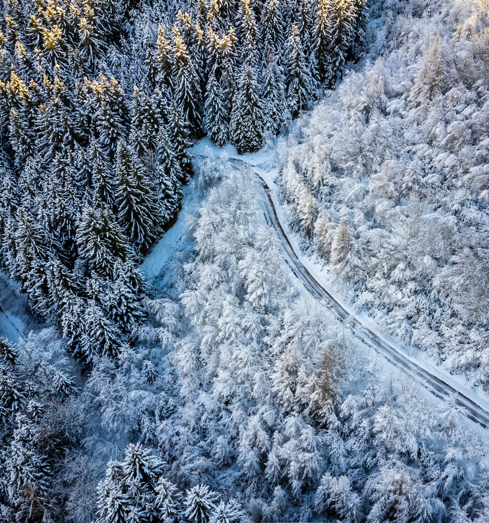 an aerial view of a road surrounded by snow covered trees