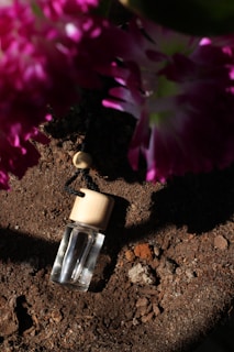 Close-up of a handcrafted herbal tincture bottle surrounded by fresh herbs and natural soil.