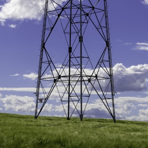 a tall metal tower sitting on top of a lush green field