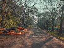 A rural road flanked by lush trees and vegetation, with sunlight filtering through the branches. Large coils of orange pipes are piled on the left side of the road, creating a contrast with the natural surroundings. The road narrows as it recedes into the distance, framed by an arch of leaning trees.