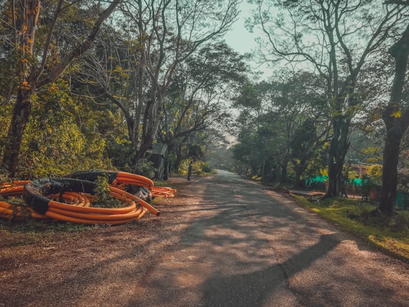 A rural road flanked by lush trees and vegetation, with sunlight filtering through the branches. Large coils of orange pipes are piled on the left side of the road, creating a contrast with the natural surroundings. The road narrows as it recedes into the distance, framed by an arch of leaning trees.