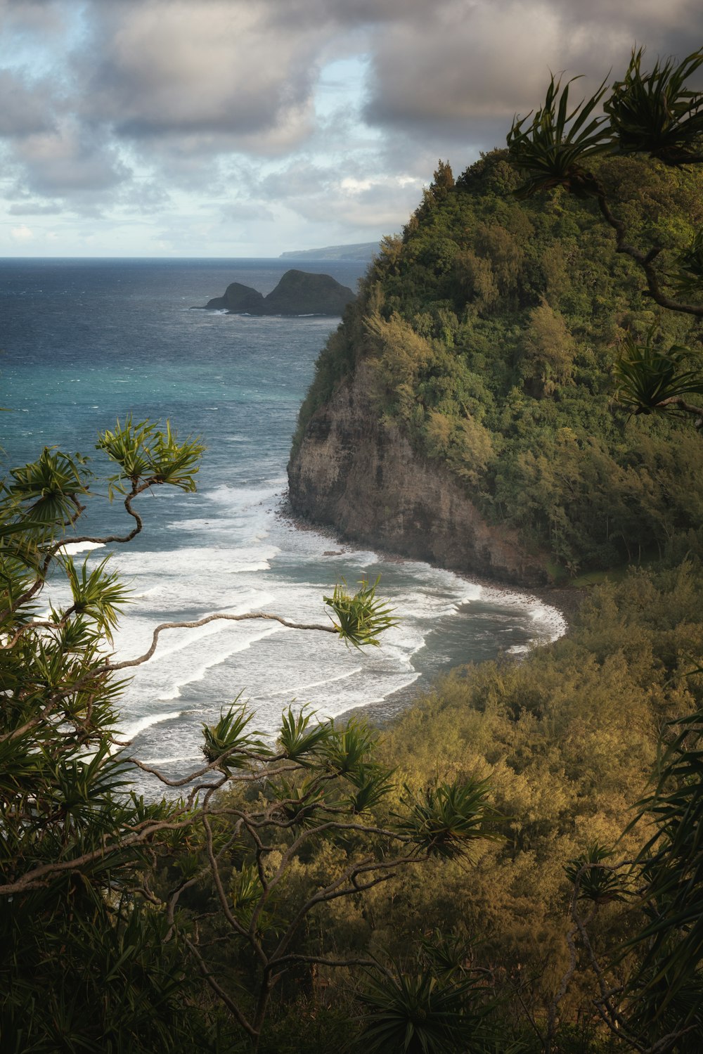 a body of water surrounded by trees