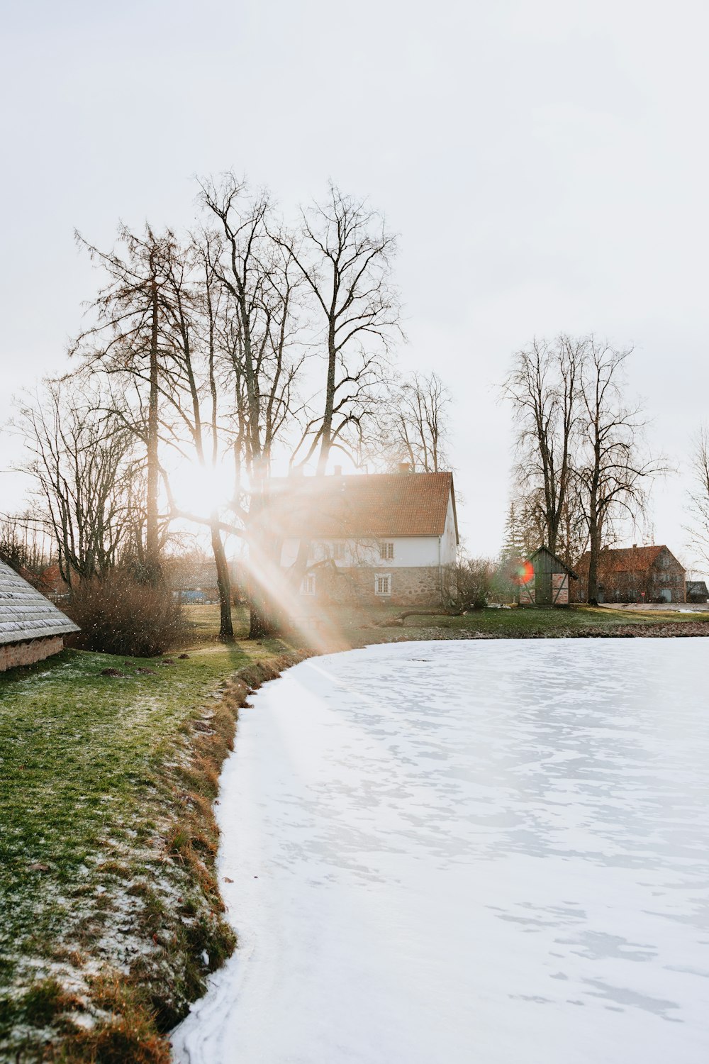 the sun shines through the trees over a frozen pond