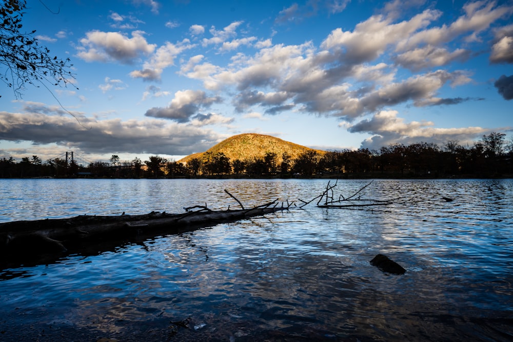 a large body of water surrounded by trees