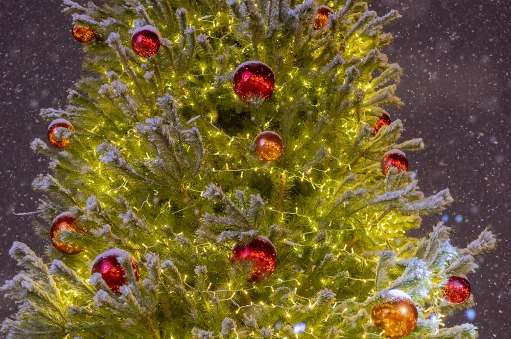 a christmas tree with a lot of ornaments on it