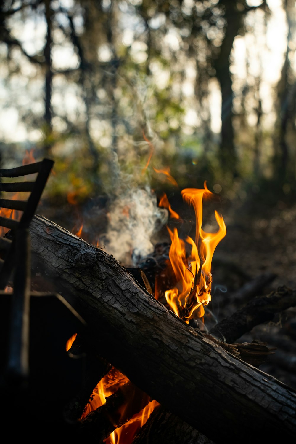 a fire burning in the middle of a forest