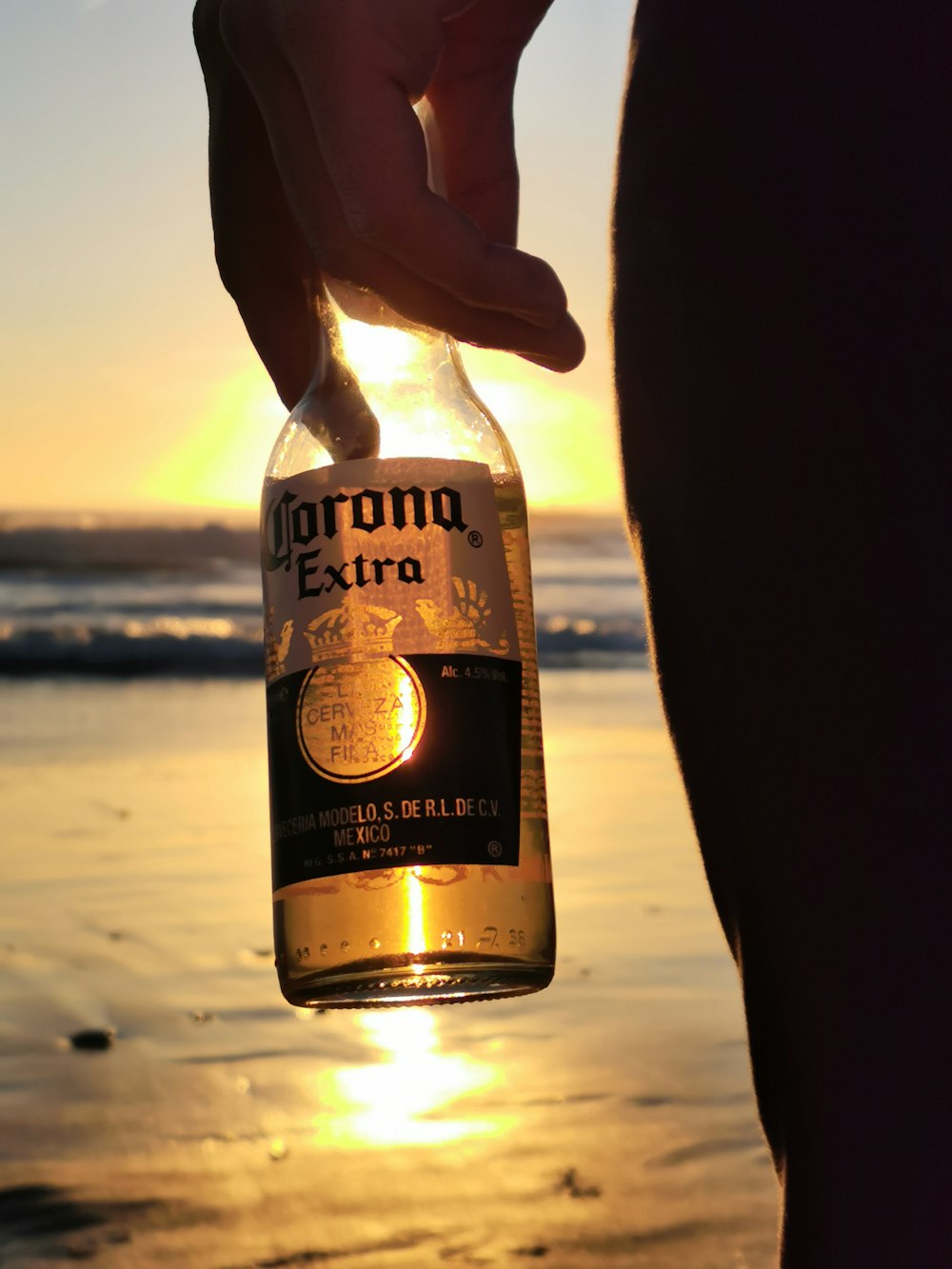 a person holding a bottle of beer in front of the ocean