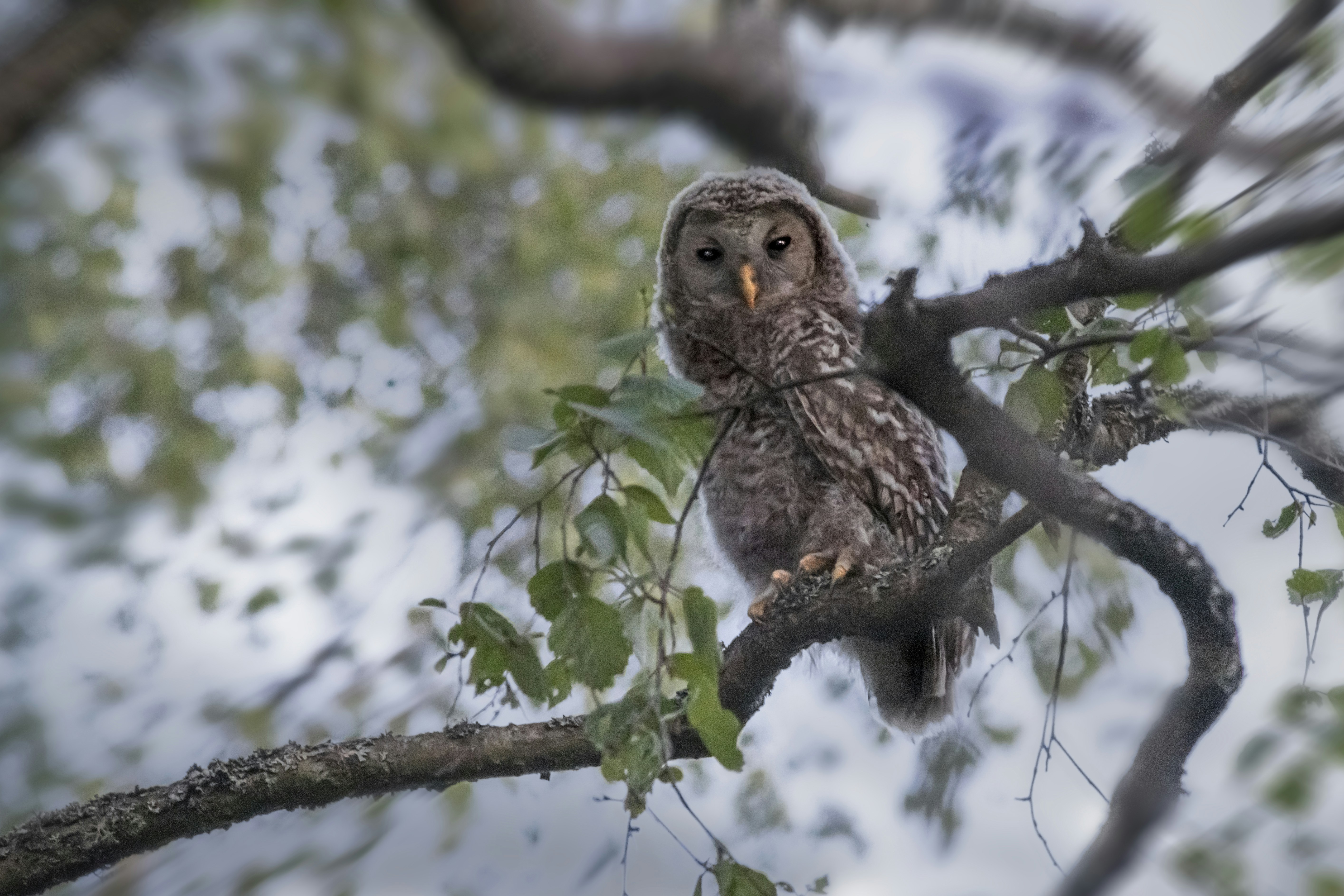 Photo by erik_karits