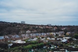 a view of a city with lots of houses