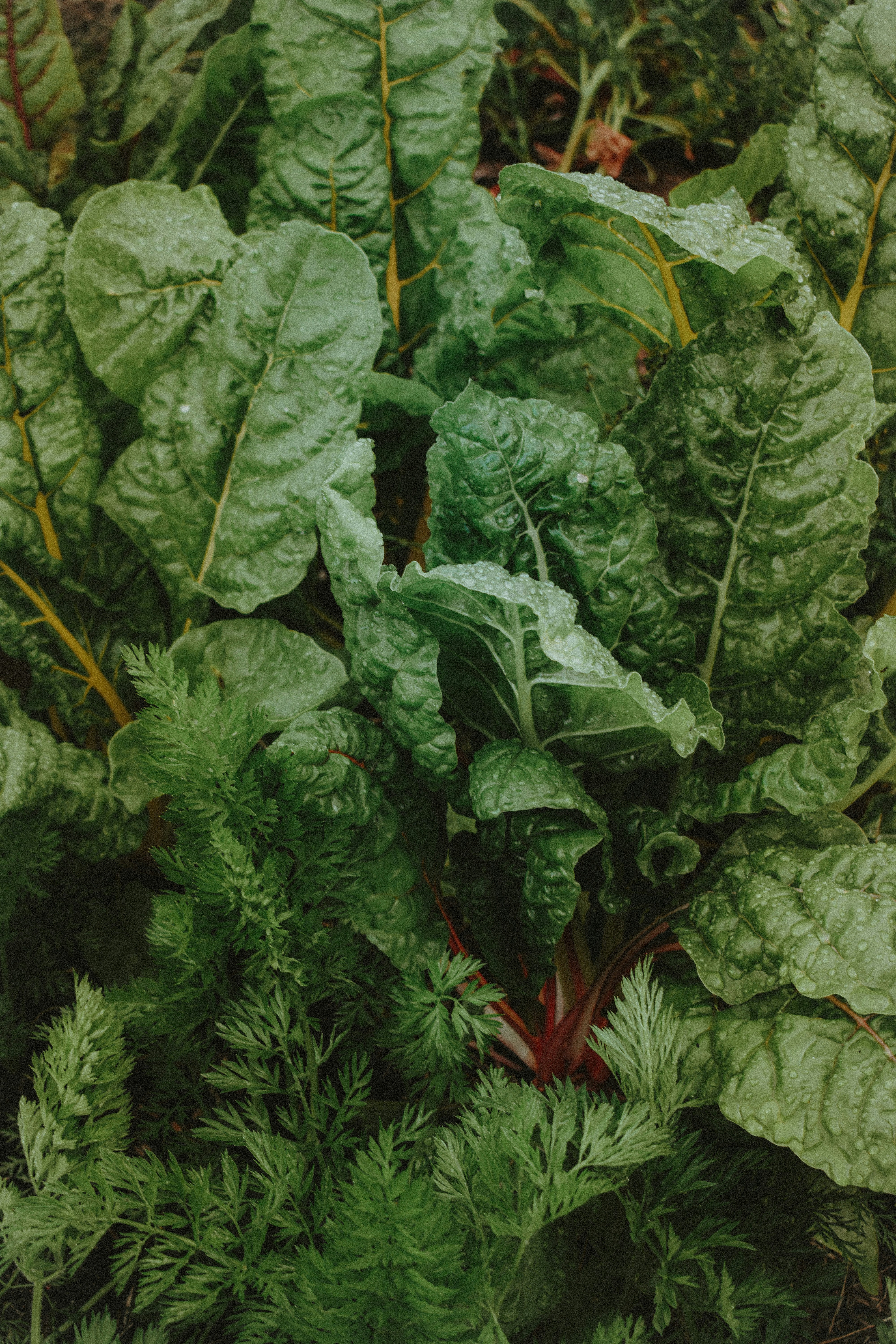 Photo by taraleemuses85