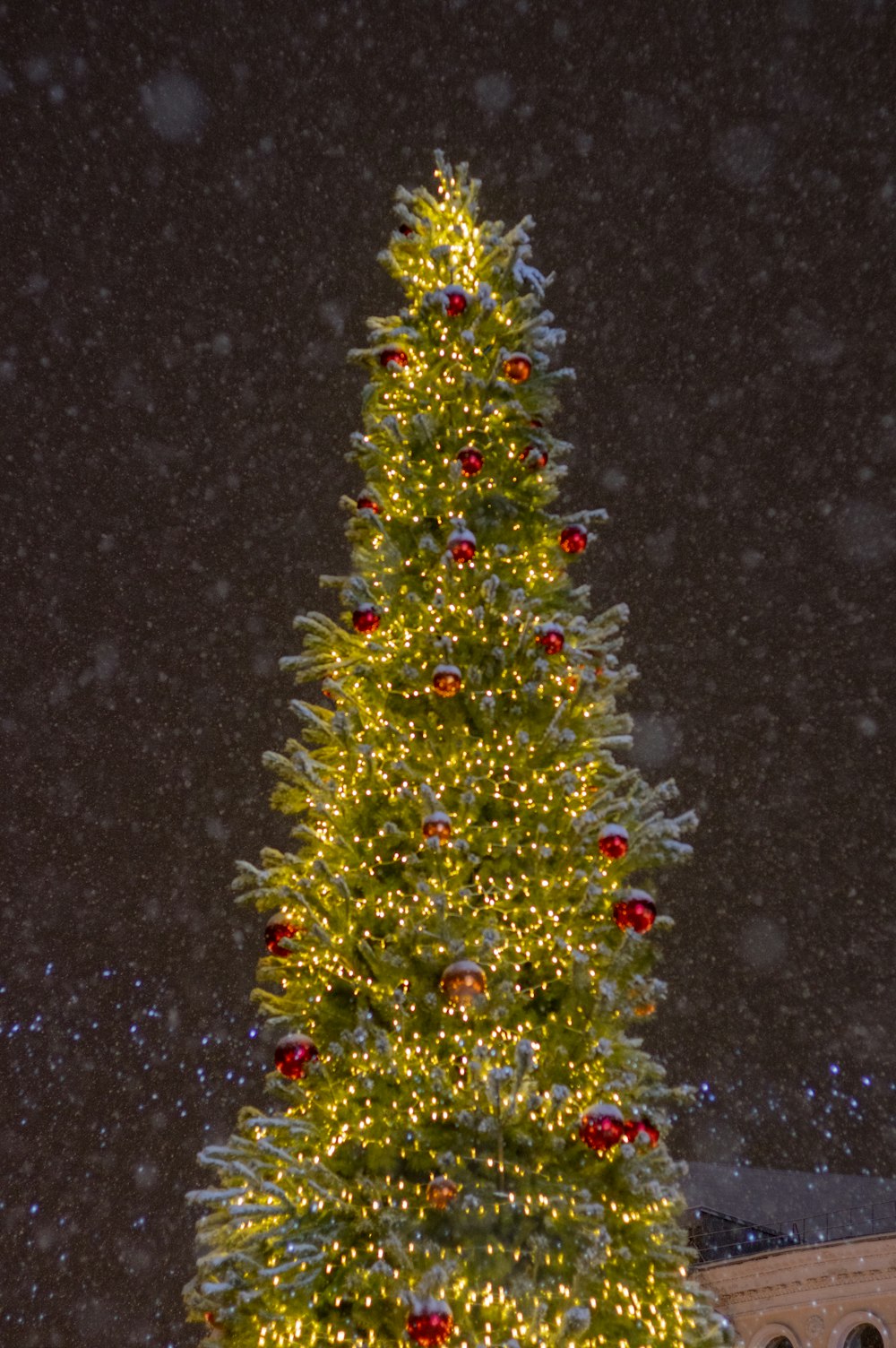 a lit christmas tree in front of a building