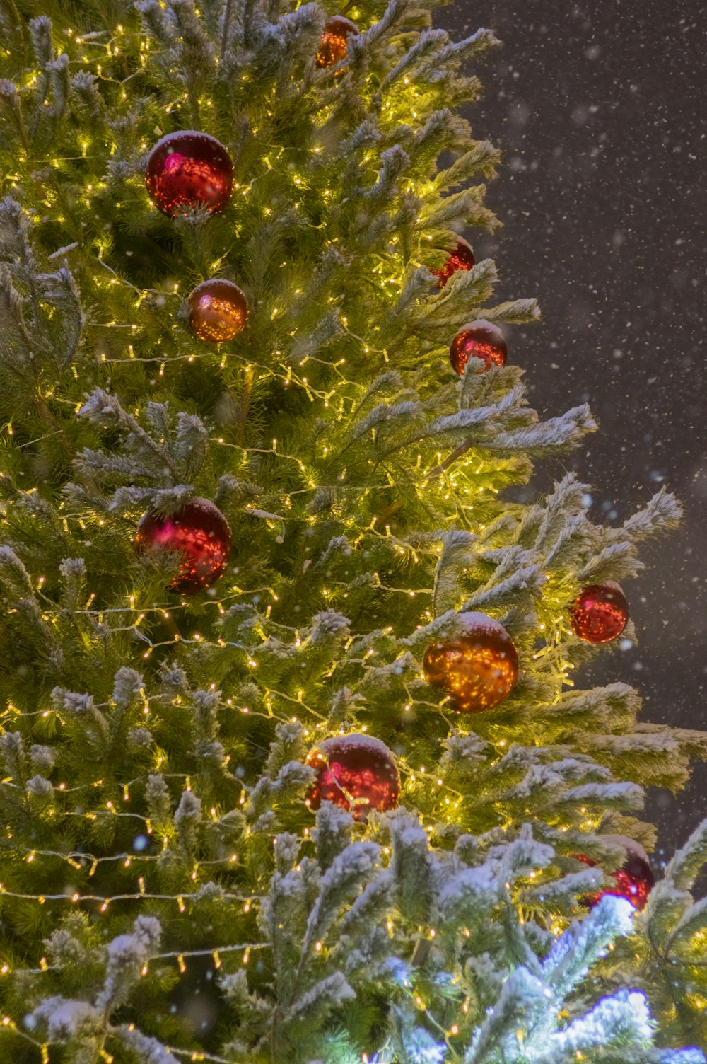 Ein Weihnachtsbaum mit vielen Lichtern drauf