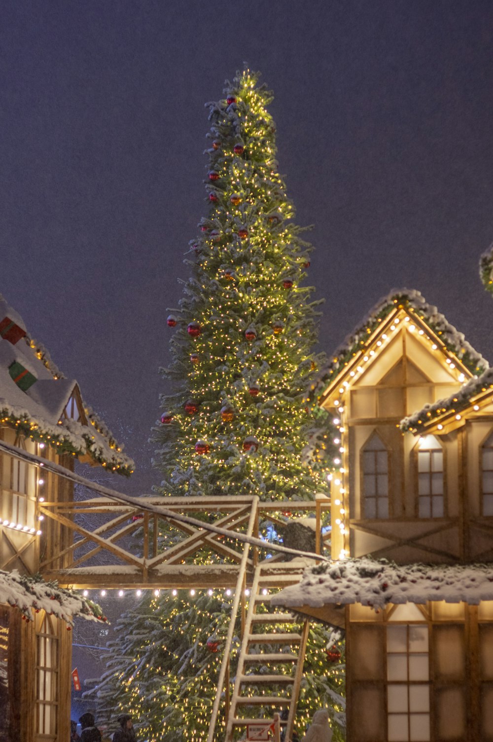 a christmas tree is lit up in front of a building