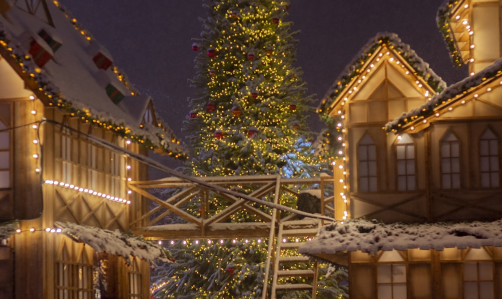 Un albero di Natale è illuminato davanti a una casa