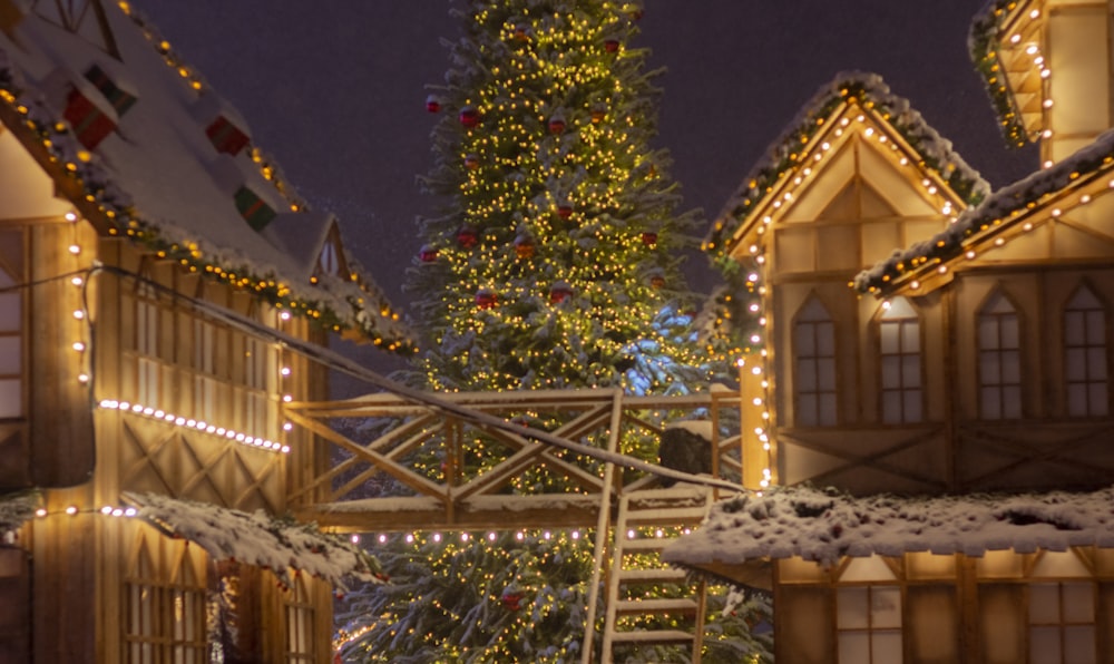 uma árvore de Natal é iluminada na frente de uma casa