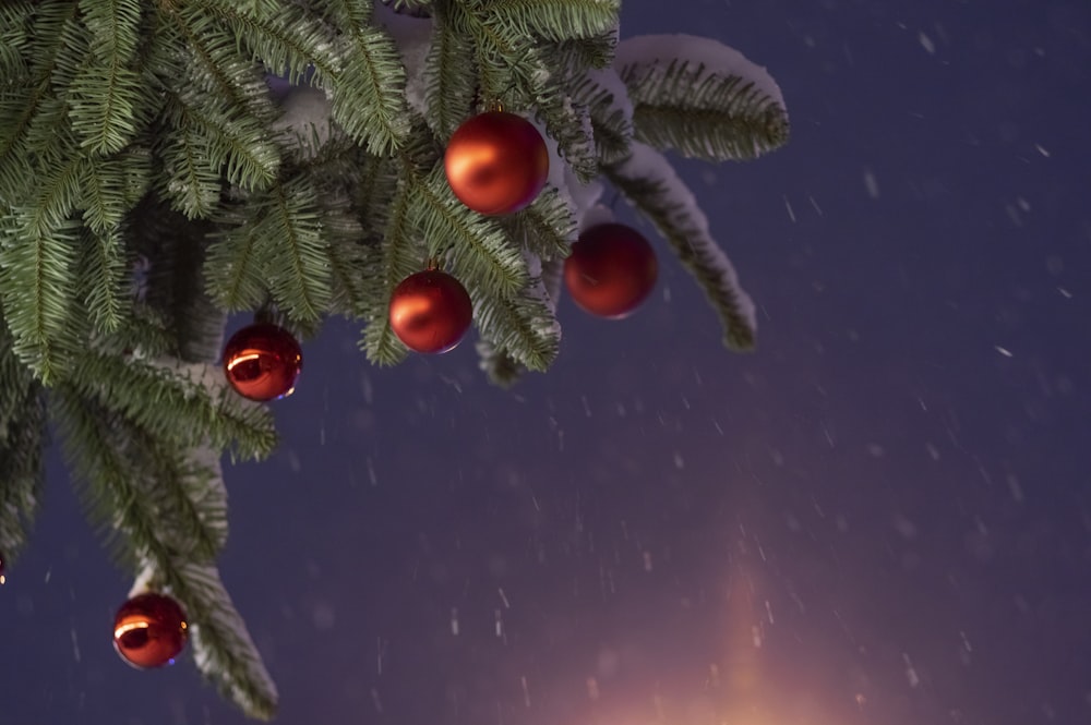 uma árvore de Natal com enfeites vermelhos pendurados em seus galhos