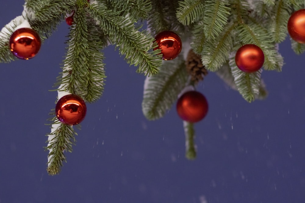 Nahaufnahme eines Weihnachtsbaums mit roten Ornamenten