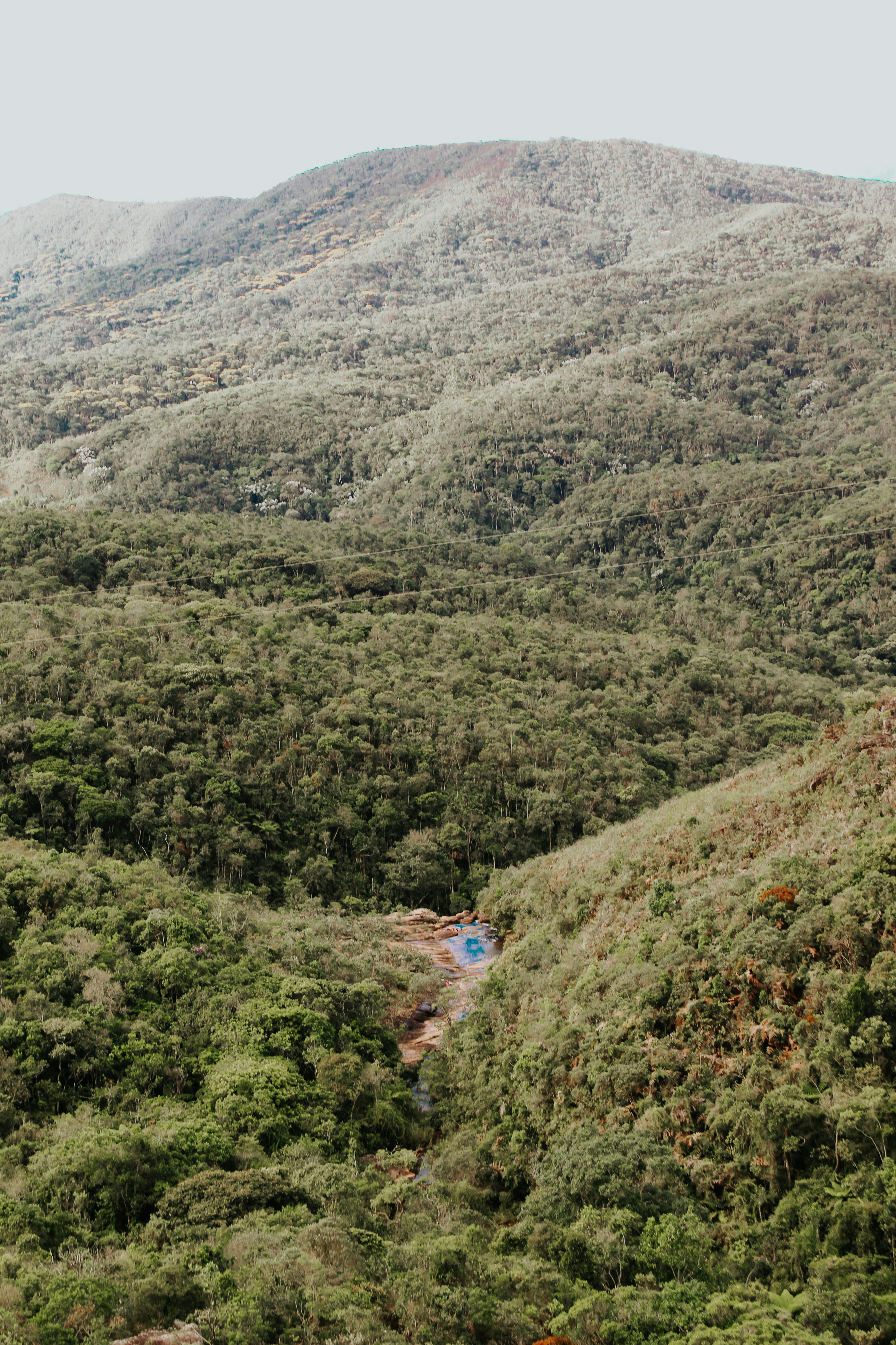 Photo by studiomikefranca