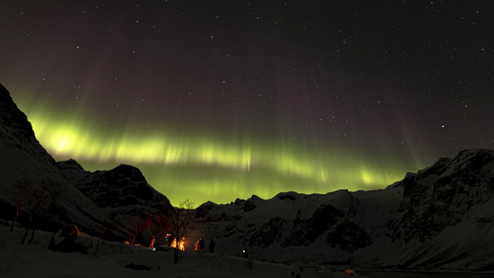 a green and yellow aurora bore in the night sky